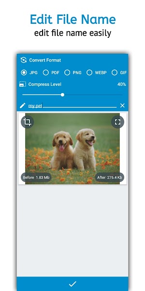 Image Converter Pro APK