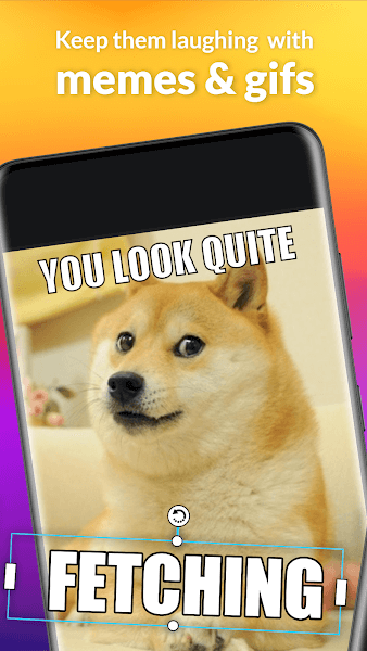 piZap Mod APK