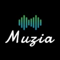 Muzia: Music On Display